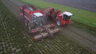 12 row Sugarbeet harvesting  Agrifac Hexx Traxx 12  Dewulf Overlaadwagen  Bieten Rooien  2022 [upl. by Cairistiona256]