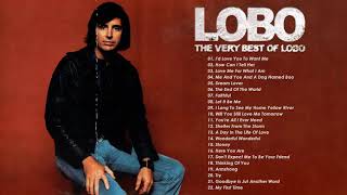 LOBO Nonstop Songs Greatest Hits Full Album  Best Songs of LOBO [upl. by Wixted60]