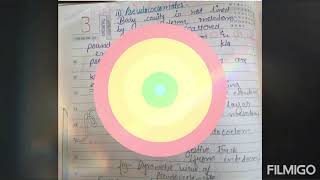 Acoelomate and coelomate topic no 1 zoology optional for IAS  hand written notes [upl. by Basil]