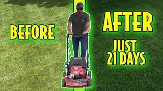 Fix Your Lawn in Just 21 Days [upl. by Trebo64]