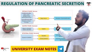 Regulation of Pancreatic secretion  Digestive System physiology [upl. by Harald592]