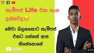 කැම්පස් Life එක ගැන දන්නවද☺️  මෙවා බලනකොට කැම්පස් එකට යන්නත් ආස හිතේනොනේCHARAKA DHNANAJAYABS1ST [upl. by Odrareve]