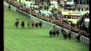 1975 Derby Stakes [upl. by Folly]