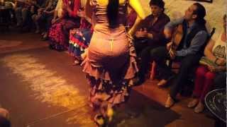 Flamenco Dance by Spanish Gypsies Part 1 [upl. by Montagna586]