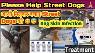 dog skin allergy treatment  mange in dogs  skin problems in dogs  dog skin problem treatment [upl. by Lupien]