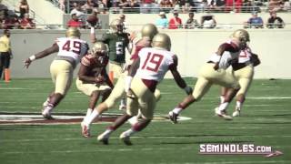 2016 Spring Game Highlights [upl. by Pickford877]