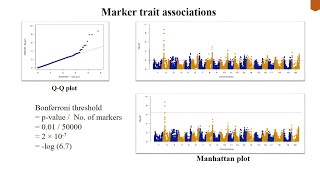 Genome Wide Association Study GWAS  Association mapping  Linkage Disequilibrium mapping [upl. by Alekram]