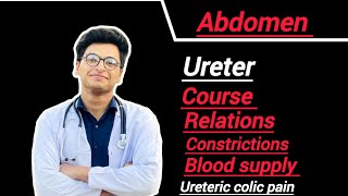 Ureter course  relations contrictions blood supply [upl. by Auqenaj]