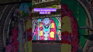 Murugan Haro Hara 🙏🪷ytshorttamilmusicsongvlogsrichagantikoteswraraopravachanalutamilexplore🪷 [upl. by Albion]