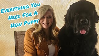 Complete Guide To Everything You Need For Bringing Home A Newfoundland Puppy  Newf Puppy Explained [upl. by Dlanger]