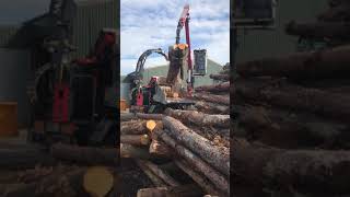 Pentland biomass Musmax WT 10 pto chipper with Case Magnum 380CVX [upl. by Trevlac]