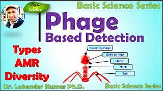 Bacteriophage based bacterial detection  Phage  Phage Detection  Basic Science Series [upl. by Ehgit993]