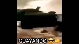 GUAYANDO 👊😎 [upl. by Oiralih250]