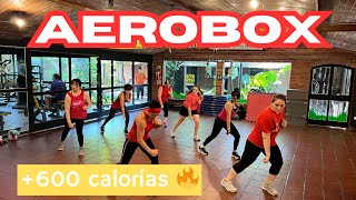 CLASE DE AEROBOX  QUEMA MAS DE 680 CALORIAS EN 40 MINUTOS [upl. by Assiroc265]