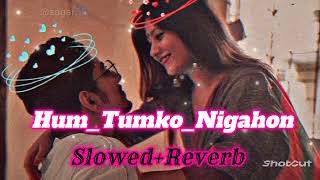 HumTumkoNigahon mein  slowedReverb Salman Khan Hind songs  lofi song [upl. by Idnas]