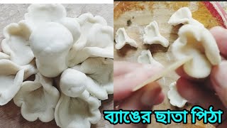 ব্যাঙের ছাতা পিঠা কিভাবে বানাবেনসব ছোট ইউটিউবার এর জন্য কিছু গুরুত্বপূর্ণ কথাImportant information [upl. by Iarised841]