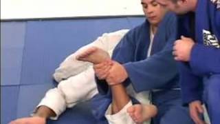 Gracie Brazilian Jujitsu Moves  Knee Bar Jujitsu Technique [upl. by Tuddor]