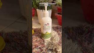 MNT TEA TREE SHAMPOO 🌿🌸 skincare haircareroutine shampoobottle teatreeshampoo [upl. by Obed]