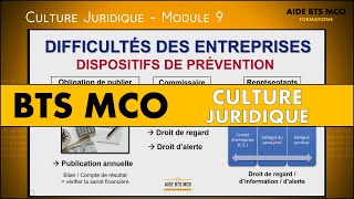 AIDE BTS MCO  Les dispositifs face aux difficultés des entreprises  CULTURE JURIDIQUE BTS [upl. by Enileme]