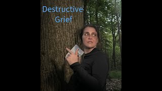 Destructive Grief Trailer [upl. by Eivets]