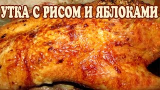 Рождественская утка с рисом и яблоками Утка с яблоками рецепт [upl. by Anamuj]