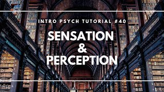 Introduction to Sensation and Perception Intro Psych Tutorial 40 [upl. by Lidaa]