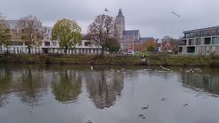 Oudenaarde wandeling langs de Schelde [upl. by Marika]