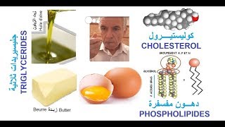 Lipides triglycérides phospholipides cholestérol دهنيات [upl. by Airda]