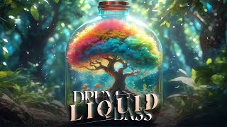 💥 Liqid Drum and Bass Collection  Greatest Hits Liquid Drum and Bass  Dnb playlist 2024 💥 [upl. by Nolte]