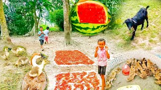 গ্রামীণ জীবন  Village Agro  Village life Bangladesh [upl. by Donelle]