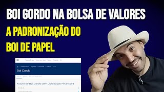 Não posso fazer Hedge porque não tenho o Boi da Bolsa O que importa [upl. by Irual]