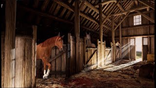 Cozy Relaxation Horse Stable Ambience [upl. by Settera261]