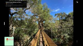 Sightings The Myakka River State Park Skunk Ape and Where To Find Them In The Myakka Watershed [upl. by Amsaj]