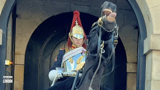 Young Royal Guard Shows Excellent Horsemanship On Restless Horse Horse Guards Horse Guards Parade [upl. by Avek606]