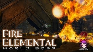 Guild Wars 2  World Boss  Fire Elemental [upl. by Dallon]