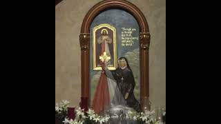 Saint Faustina Diary inspiration saintfaustina catholic christian christianity god love [upl. by Tedda]