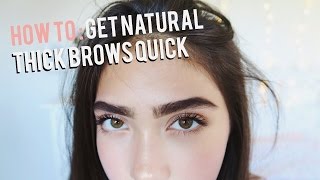 How To Grow Eyebrows FAST Thick amp Natural [upl. by Naujek]