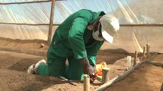 Hargeisa Irrigation Xaaxi TV [upl. by Naujled]