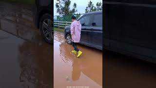 Waterproof Flying Golden Shoes 👟 ll Carriage House wooden artist ll cartoon shortvideo [upl. by Aklog]