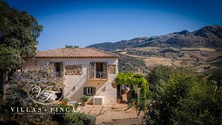 Stunning finca for sale with olive grove Andalusia Southern Spain [upl. by Merras979]