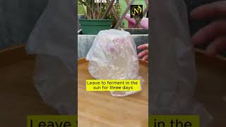 Make water for plants using onionrice and soybean youtubeshorts shortvideo youtubeshorts viral [upl. by Olivier]