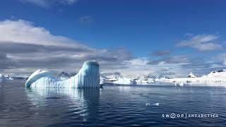 Cuverville Island  Antarctica [upl. by Addis206]