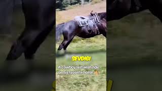 ZAVALLI AT SAHİBİNİ ÇOK İYİ TANIYORDU 🐴🥺 [upl. by Loar]