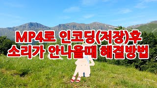 에비유틸 mp4 로 인코딩저장후 소리가 안나올때 해결방법 [upl. by Dorelia]