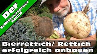 Bierrettich  Rettich erfolgreich anbauen [upl. by Jeffcott]