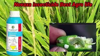 Novaxa insecticide Best Agro life Novaluron 525Indoxacarb 45SC [upl. by Tootsie]