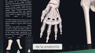 Innovación y Tecnología en la Enseñanza de la Anatomía [upl. by Dlabihcra345]