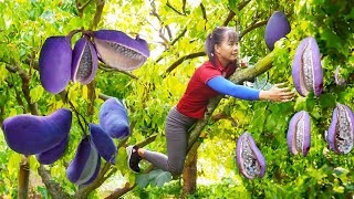 Harvesting Fresh Mushroom Goes to market sell Mushroom farm  Tiểu Vân Daily Life [upl. by Ynagoham692]