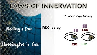 The laws of innervation │Hering’s law │Sherrington’s law [upl. by Marou552]