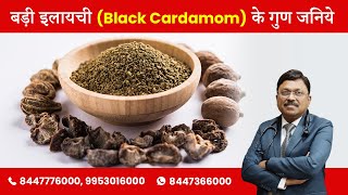 बड़ी इलायची Black Cardamom के गुण जनिये  Benefits of Black Cardamom Badi Elaichi  SAAOL [upl. by Prosper]